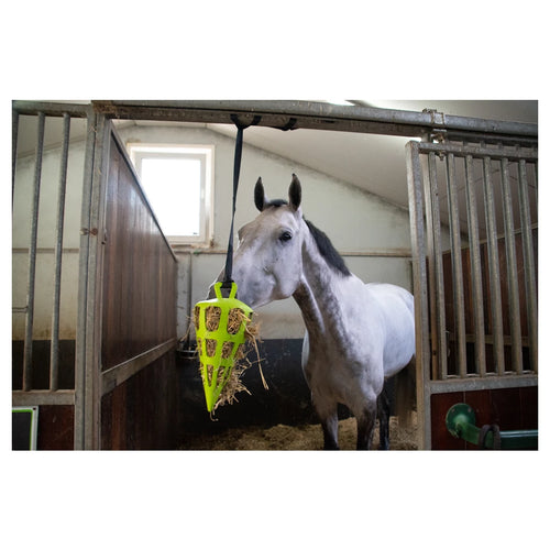 Hay Slow Feeder Fun & Flex Carrot