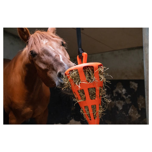 Hay Slow Feeder Fun & Flex Carrot